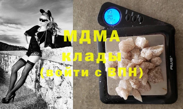 дживик Няндома