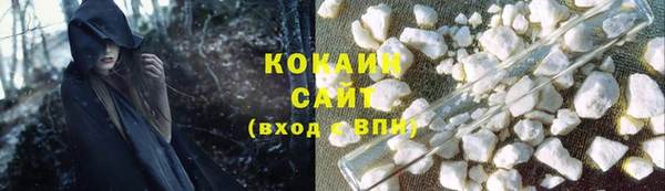 дживик Няндома