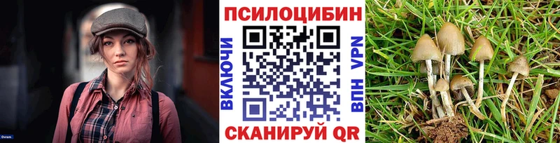 Псилоцибиновые грибы Magic Shrooms  закладки  Дигора 